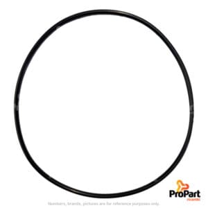 O Ring - 9828498