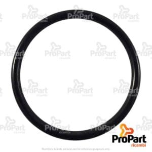 O Ring - 9845951