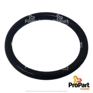 O Ring - 98465103