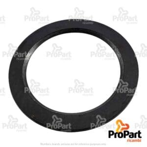 Thrust Washer - 9967994