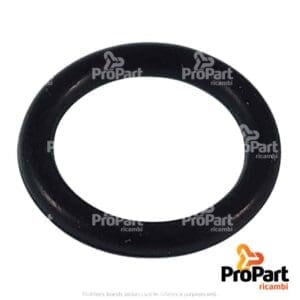 O Ring - 9993141