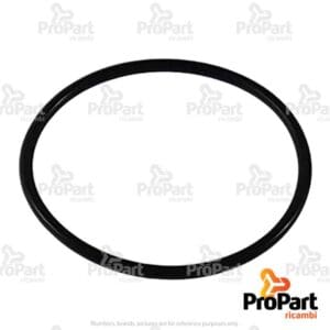 O Ring - F0803078100