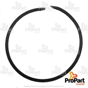 Sealing Ring - L100522