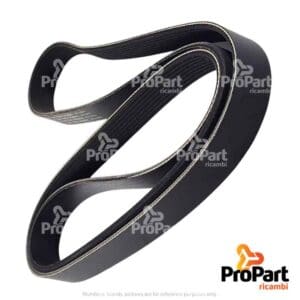 Ribbed Belt - L114489