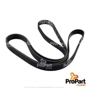 Ribbed Belt - L203307