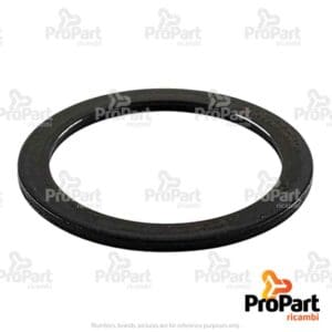 Thrust Washer - R113930