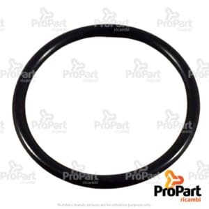 O Ring - R117677