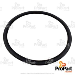 O Ring - R120842